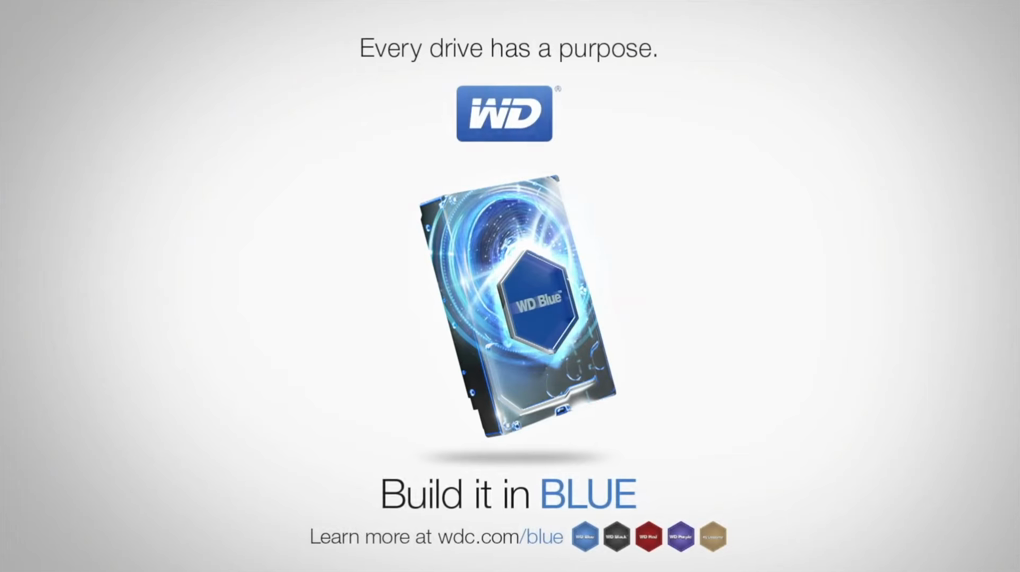 Disques WD Blue