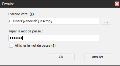 Mettre un mot de passe sur un dossier sous Windows 7 - Renee File Protector