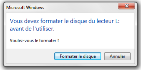 Le formatage est nécessaire pour utiliser le message d'erreur