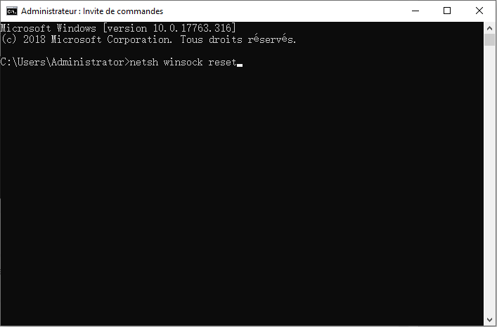 taper la commande netsh winsock reset